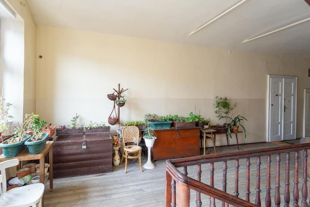 Essence Cracow Golden Location! Appartamento *